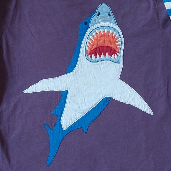 2014 (v)guc shark tee 11-12 years - Picture 7 of 12